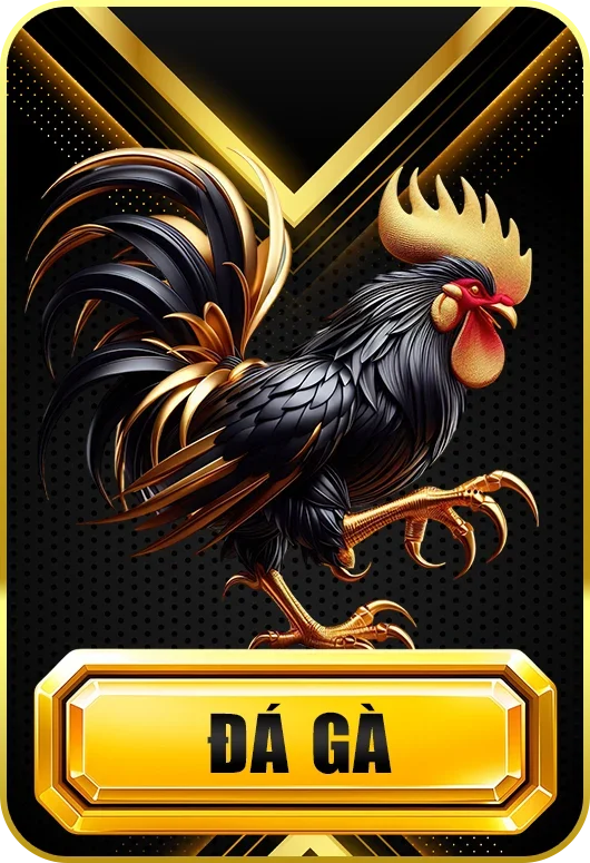 789WIN ⚡ Trang Chủ 789 WIN Mới Nhất ✔️ Tải App 789 win +50K 10 Đá gà 789win